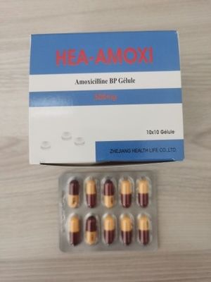 Amoxicilline comprimés 250MG 500MG Antibiotiques BP / USP