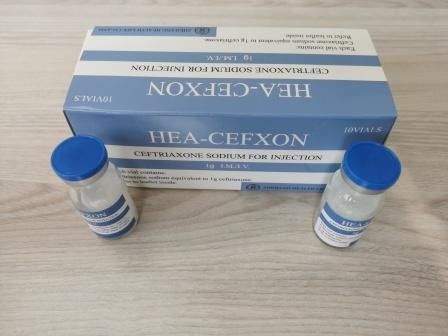 Ceftriaxone Sodium Pour Injection 1,0 g 0,5 g Antibiotiques BP / USP